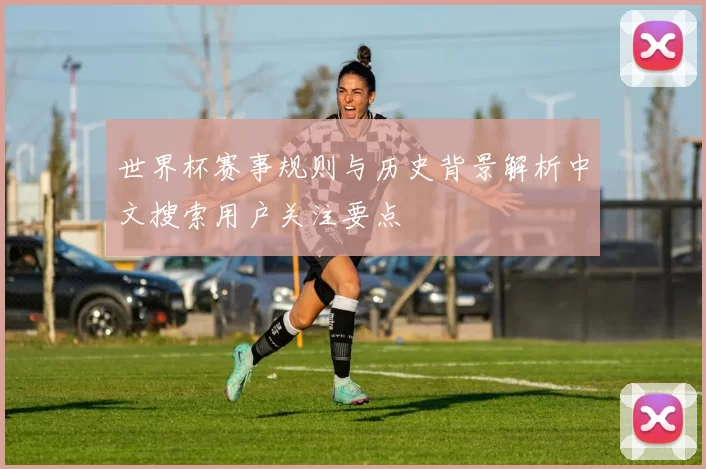世界杯赛事规则与历史背景解析中文搜索用户关注要点